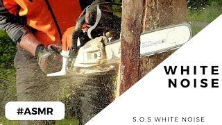  ASMR  Chainsaw Sound  White noise   Sound for Tinnitus / Focus