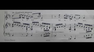 J.S.BACH "Quia respexit humilitatem" MAGNIFICAT, BWV 243, for soprano (piano base with score)