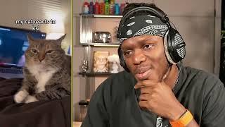 Cat Reacts To KSI's New Song 