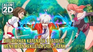 PETUALANG LV 1 YANG DIREMEHKAN TERNYATA REINKARNASI PENYIHIR TERKUAT DAN MENGUASAI SKILL LANGKA