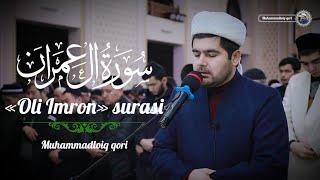 @MuhammadloiqQori MUHAMMADLOIQ QORI | OLI IMRON SURASI | GO‘ZAL QIROAT