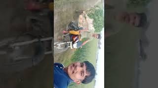 yaar