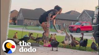 Sweet Woman Becomes Neighborhood Duck Lady | The Dodo