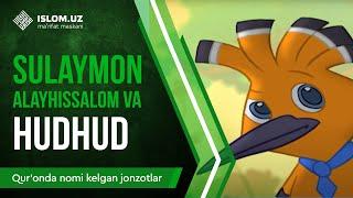 21. Sulaymon alayhissalom va Hudhud (2-qism) | Qur'onda nomi kelgan jonzotlar