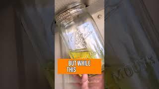 Wasp nest at home? Here's what you shouldn’t do  #science #shorts #k12science #science #scienceed