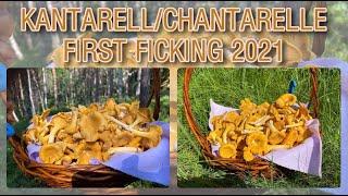 Kantarell / Chantarelle first ficking 2021