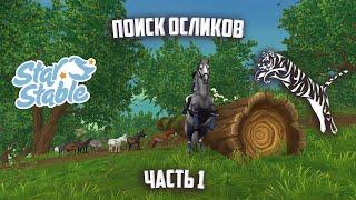 Поиск осликов | Часть 1 | Star Stable Online