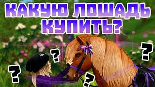 Какую лошадь лучше купить в 2022? | Star Stable