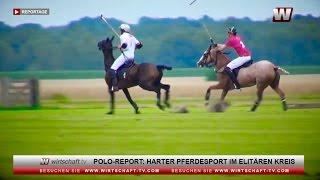 Polo: Harter Pferdesport der Elite