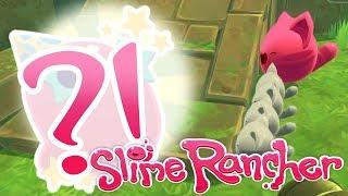 Where is the Party At?! ️ Slime Rancher! Party Gordo Update!