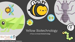 Learn about Insect Biotechnology (Yellow) in 8 Minutes