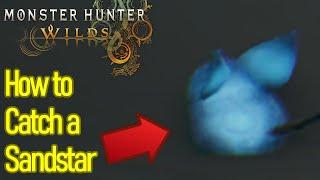 Monster Hunter Wilds Sandstar Location guide, I caught a shooting star, Samin's special research