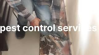 Best Termite Treatment Service Vlog - 1. #termitetreatment