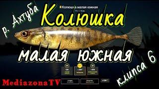 #рр4 р.Ахтуба Колюшка малая южная + прилов  11.05