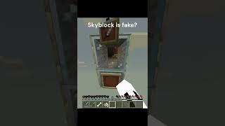 Skyblock is fake?! #minecraft #truman #funny #skit