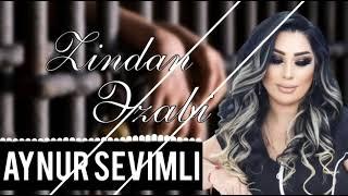 Aynur Sevimli - Zindan Ezabi 2023