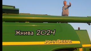 Жнива пщениці 2024