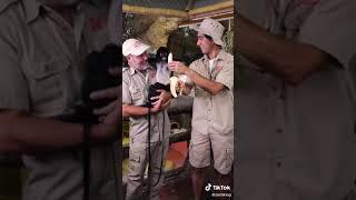 Zach King - Zookeeping w/ @jayprehistoricpets  - #shorts #tiktok