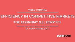 Video tutorial: Efficiency in competitive markets