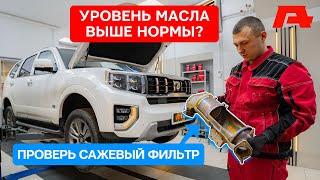 Высокий уровень масла на Kia Mohave. Сажевый фильтр. Последствия некорректного отключения AdBlue