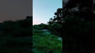 Get out and discover #landrover  #houston #bayou #offroad #landrover #discovery2 #htown