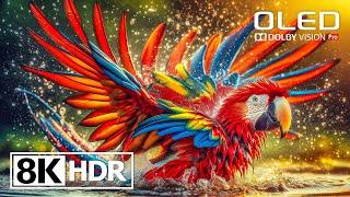 Абсолютно редкое видео HDR 8K 60FPS - Dolby Vision (8к видео)