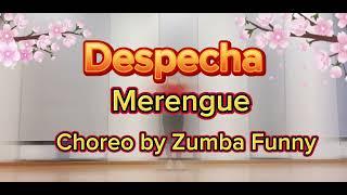 Despecha - Rosalia / Merengue/ Choreo by Zumba Funny/ 메렝게/ 부산퍼니/ 부산줌바/ 해운대줌바/ 장산줌바/ 좌동줌바/ 광안리줌바