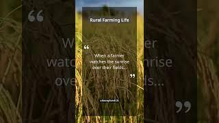 Farmer Watching Sunrise Over Fields | Starting the Day with Purpose and Hard Work