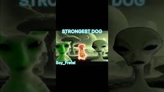 strongest dog #dog #edit #alien #anime