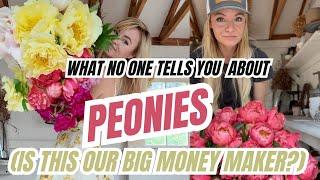 Are peonies our big money maker? They CAN be...