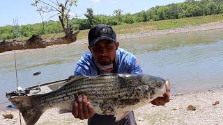 Pesca Y Cocina De Straiper De Río Part 2