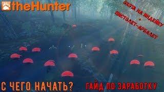  theHunter Classic  как заработать  гайд по заработку игровой валюты 