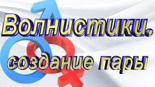 #Волнистые попугаи. Соединяем пару