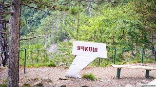 Заповедники Крыма передадут в управление России | Радио Крым.Реалии