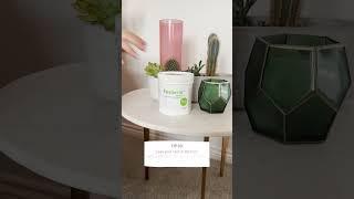 Epaderm Eczema Tips
