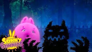 Sunny Bunnies - SPOOKY NIGHT! | SEASON 1 COMPILATION | Halloween Cartoons For Kids