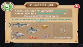 Hungry Shark World - Докачиваю ЧЕРНОПЕРУЮ РИФОВУЮ АКУЛУ До 10 уровня