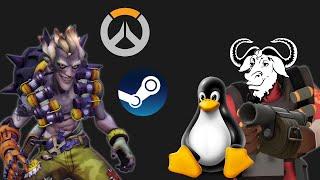 Running Overwatch on GNU/Linux (through Steam)