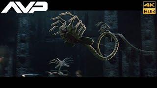 AVP: Alien vs. Predator (2004) Sacrificial chamber Scene Movie Clip Upscale 4k HDR -