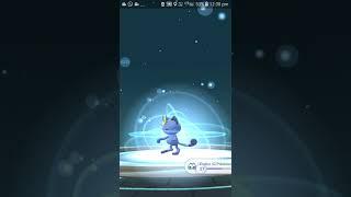 Pokemon go shiny alolan meowth evolve to persian