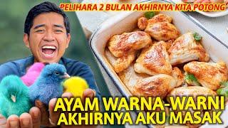 TERPAKSA MASAK AYAM WARNA-WARNI YANG UDAH 2 BULAN AKU PELIHARA! UKURANNYA UDAH SEBESAR INI!