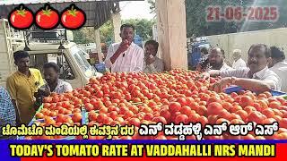 Live auction of TOMATO at NRS MANDI VADDAHALLI