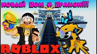 НОВЫЙ ДОМ И ДРАКОН! / My Dragon Tycoon / Roblox