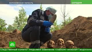 На месте немецкого концлагеря в Воронежской области обнаружили массовое захоронение