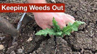 Keeping Weeds Out