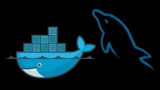 How to use MySQL server inside a Docker container