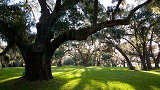 Bindon Plantation: 1317.15 +/- Acres Located in Beaufort, SC on Deep Water!  Excellent Hunting!