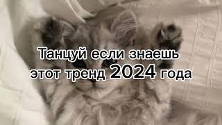 Танцуй знаеш этот трент 2024 года . #видео #кошки #видео #тренды #тренд