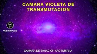 VIOLET CHAMBER OF TRANSMUTATION  Arcturian Healing Chamber  Vivi Pedraglio