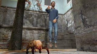 Oh shit a HEADCRAB ! Half life 2